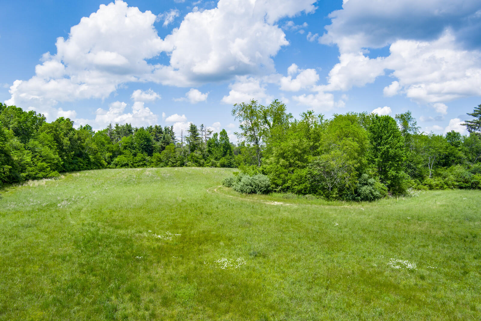 59.5-ac Harris Road Crossville, TN 38571 - Photo 14 of 26 12_MAX_0125_HDR_mls