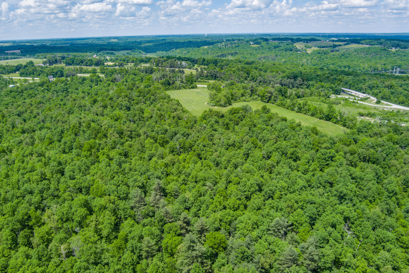 59.5-ac Harris Road Crossville, TN 38571 - Photo 22 of 26 20_MAX_0164_HDR_mls