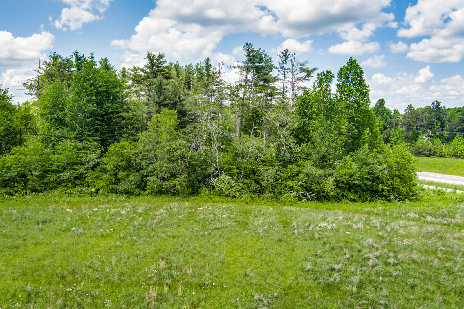 59.5-ac Harris Road Crossville, TN 38571 - Photo 9 of 26 07_MAX_0100_HDR_mls