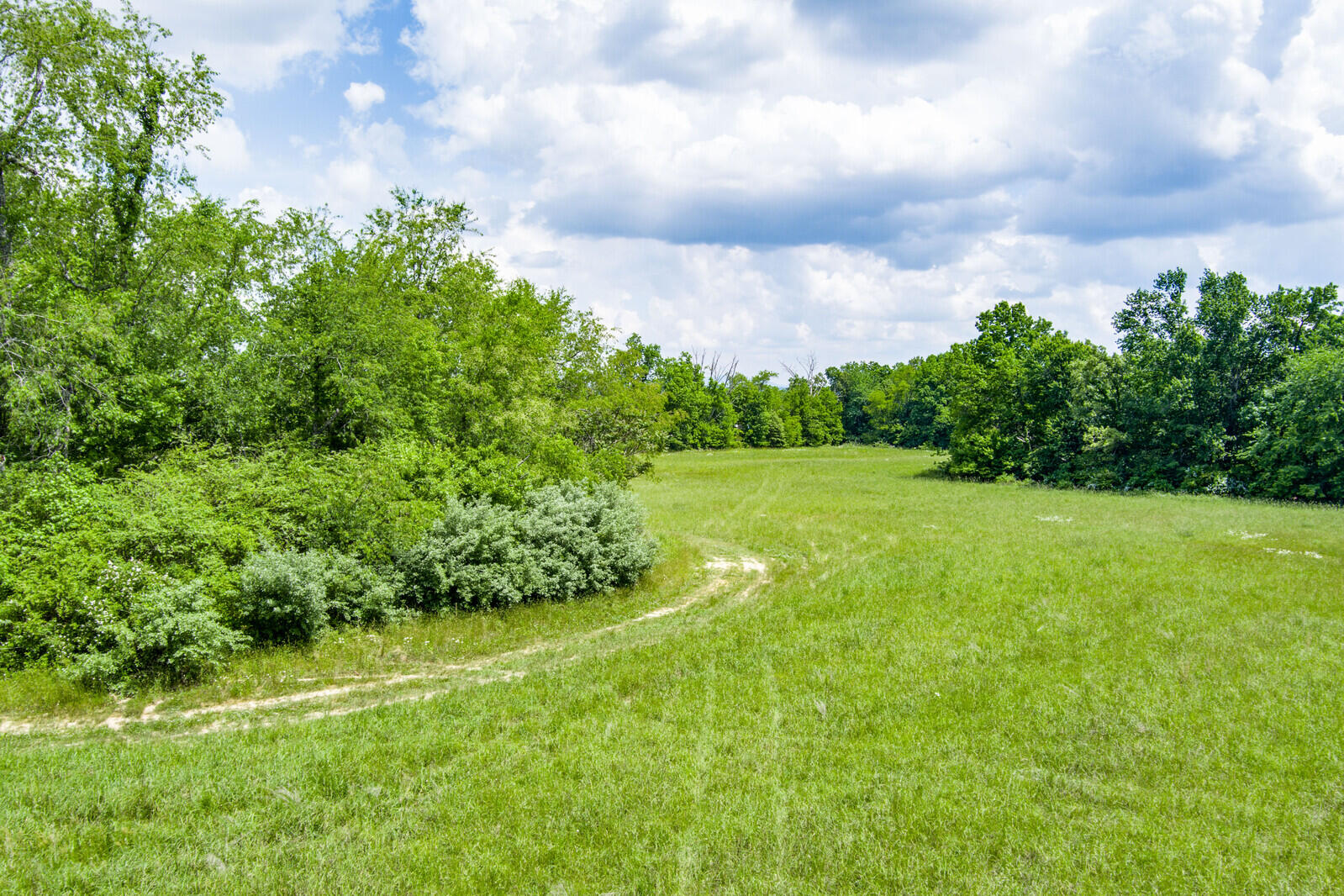 59.5-ac Harris Road Crossville, TN 38571 - Photo 10 of 26 08_MAX_0104_HDR_mls