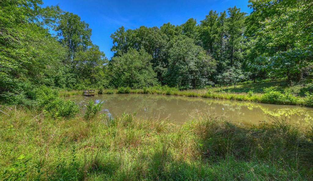 0 Crowe Road Murphy, NC 28906 - Photo 16 of 52 Gallery Image 16