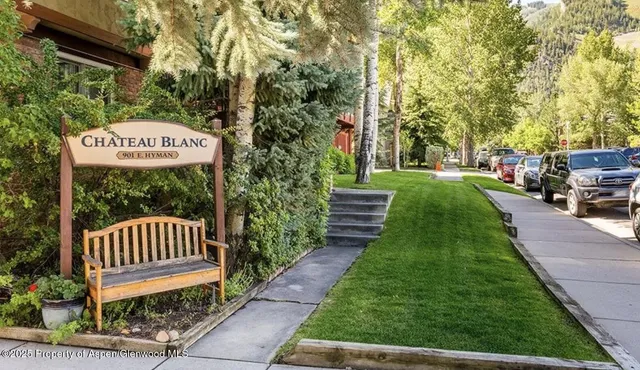 a view of a park with a bench plants and large trees
