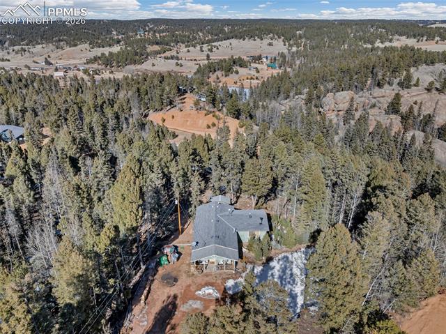 191 Nuaku Road Florissant, CO 80816 - Photo 8 of 48 Gallery Image 8