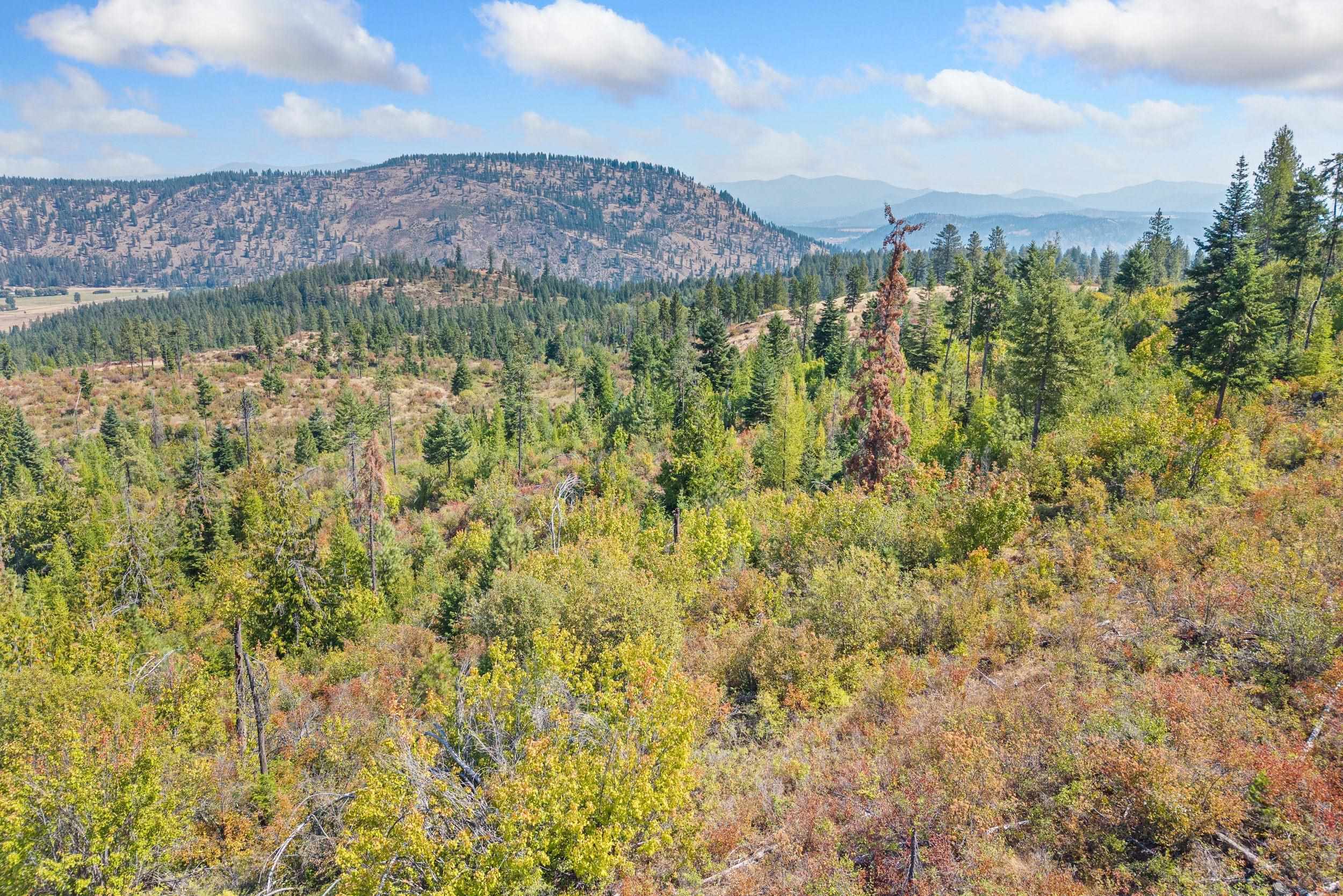 Nka Hoag Road Valley, WA 99181 - Photo 21 of 35 Gallery Image 21