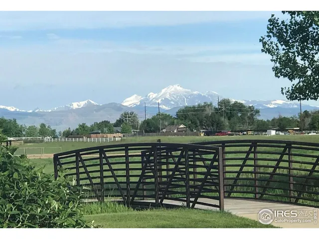 a view of a park with a tree in the background
