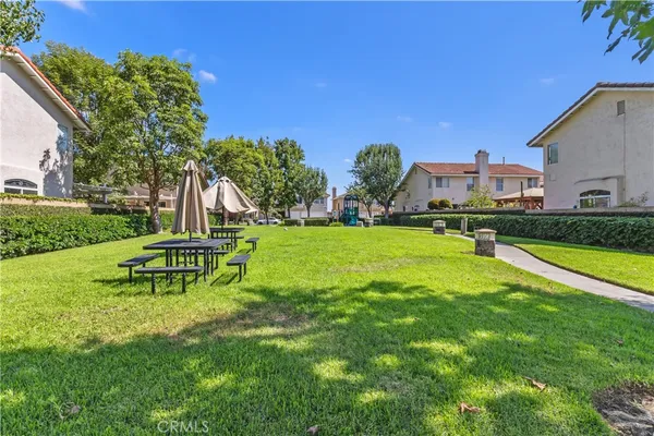 a view of a garden with a bench in the garden