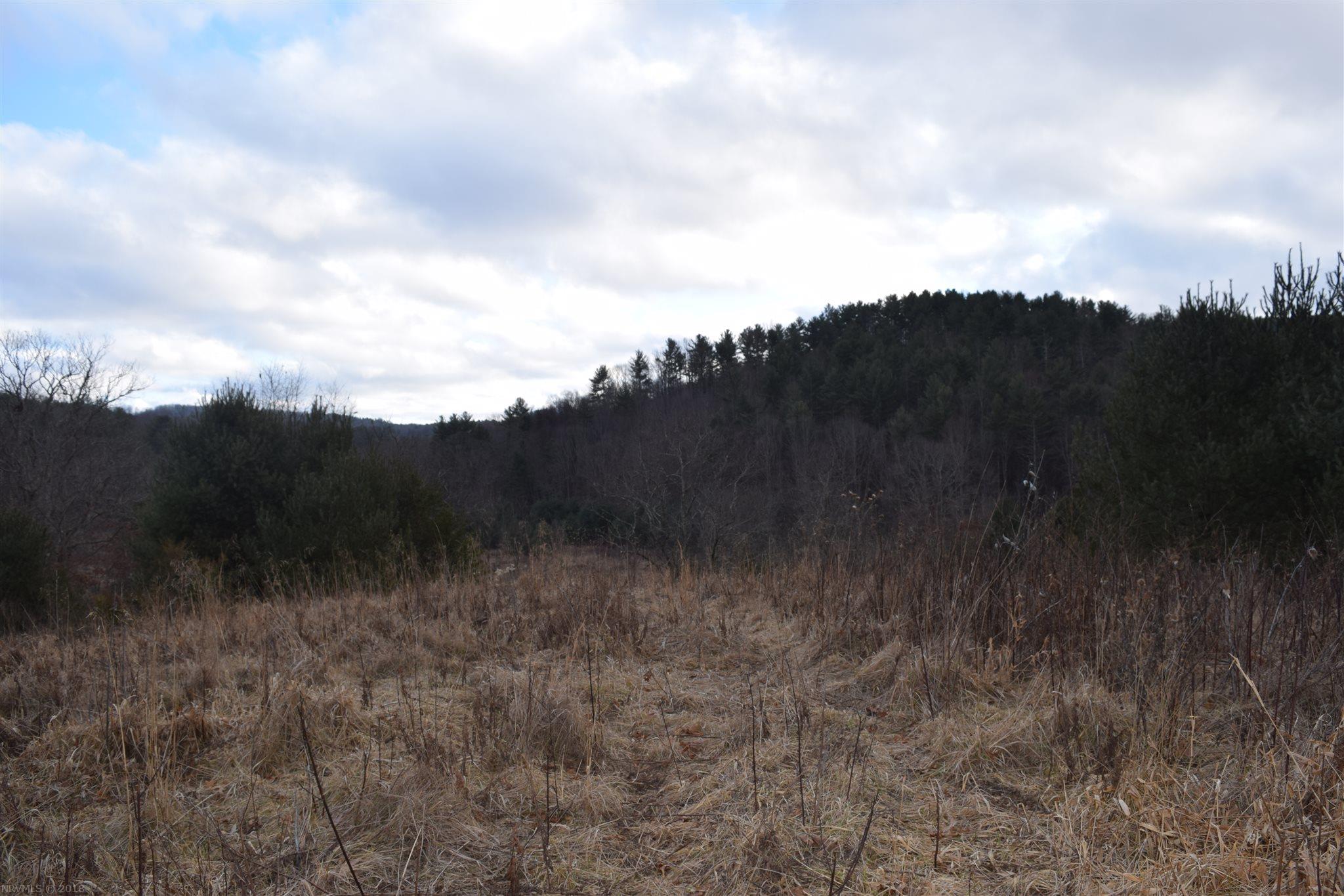 Tbd Alum Ridge Road Northwest Floyd, VA 24091 - Photo 14 of 18 Gallery Image 14