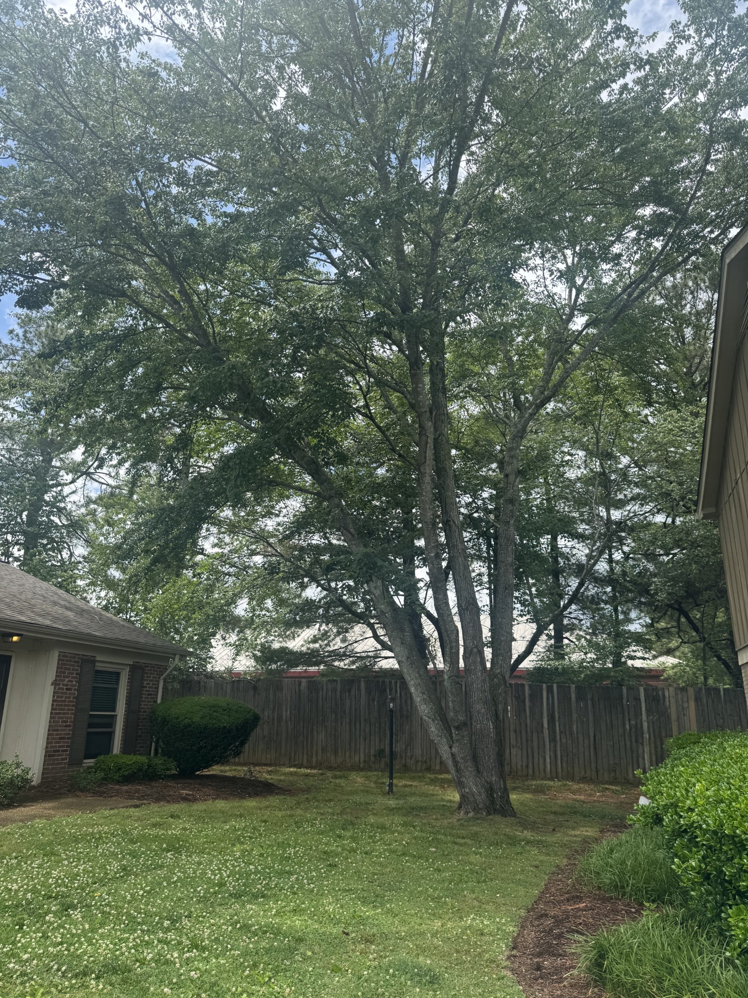 1011 Murfreesboro Road, Unit F1 Franklin, TN 37064 - Photo 17 of 19