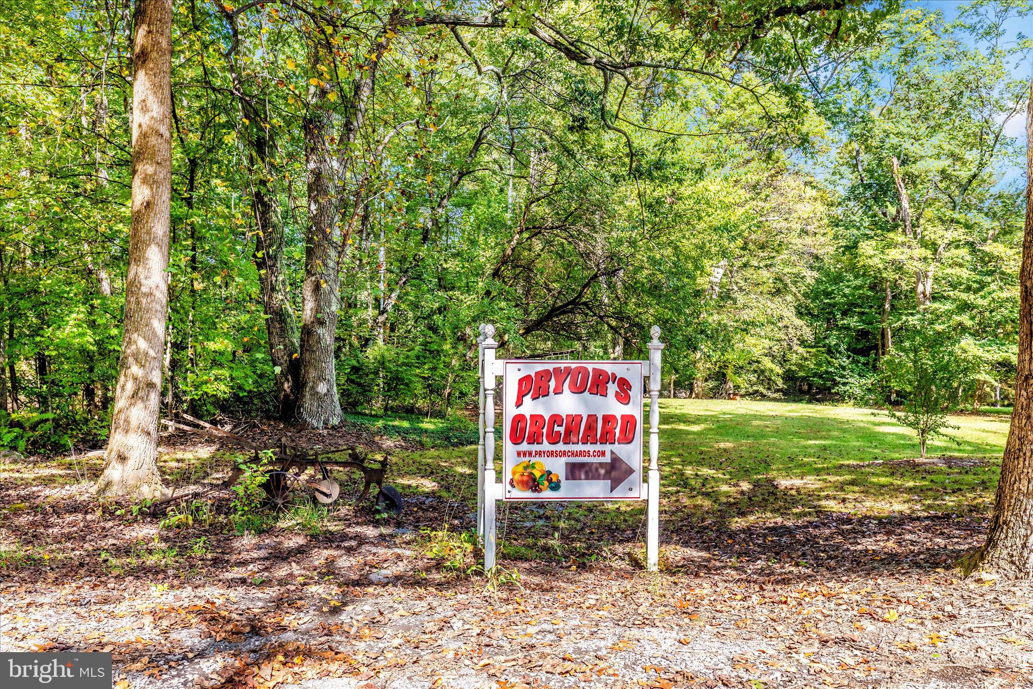 13839 Pryor Road Thurmont, MD 21788 - Photo 58 of 66 Pryor's Orchard