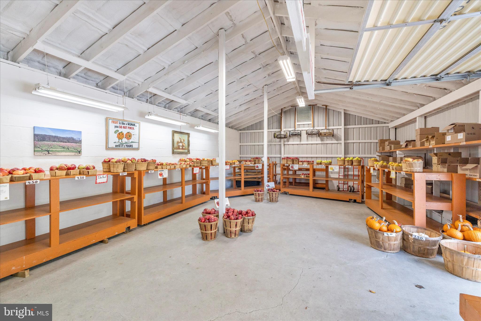 13839 Pryor Road Thurmont, MD 21788 - Photo 62 of 66 Pryor's Orchard