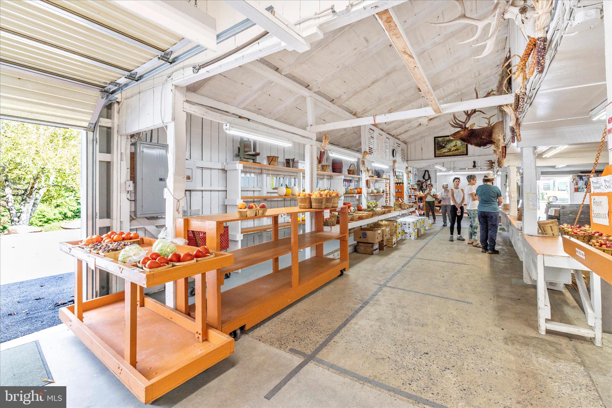 13839 Pryor Road Thurmont, MD 21788 - Photo 63 of 66 Pryor's Orchard