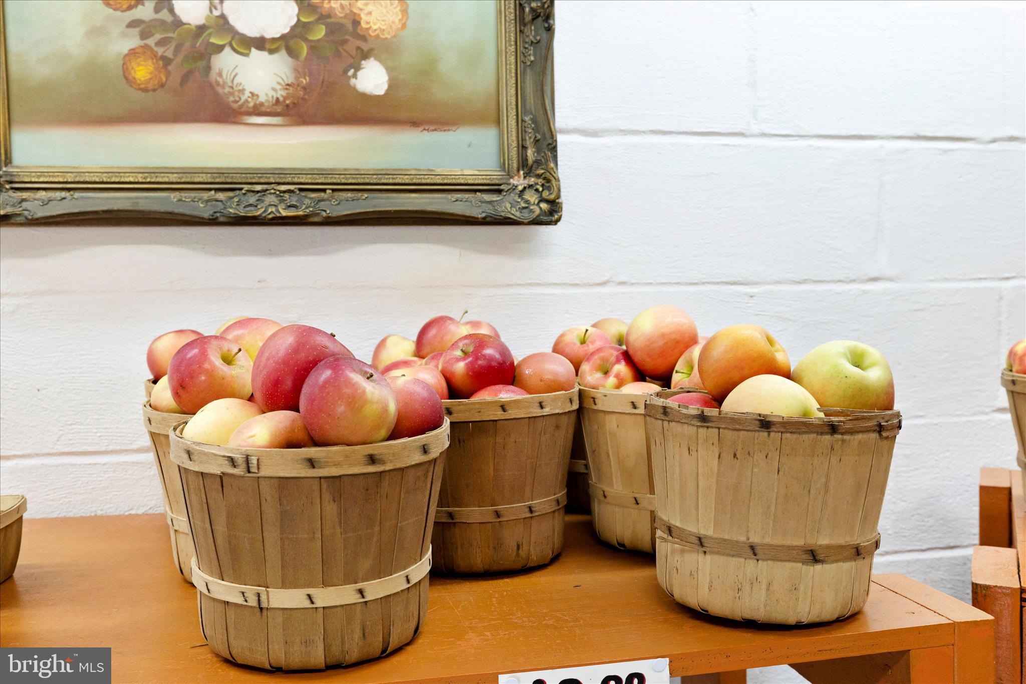 13839 Pryor Road Thurmont, MD 21788 - Photo 64 of 66 Pryor's Orchard