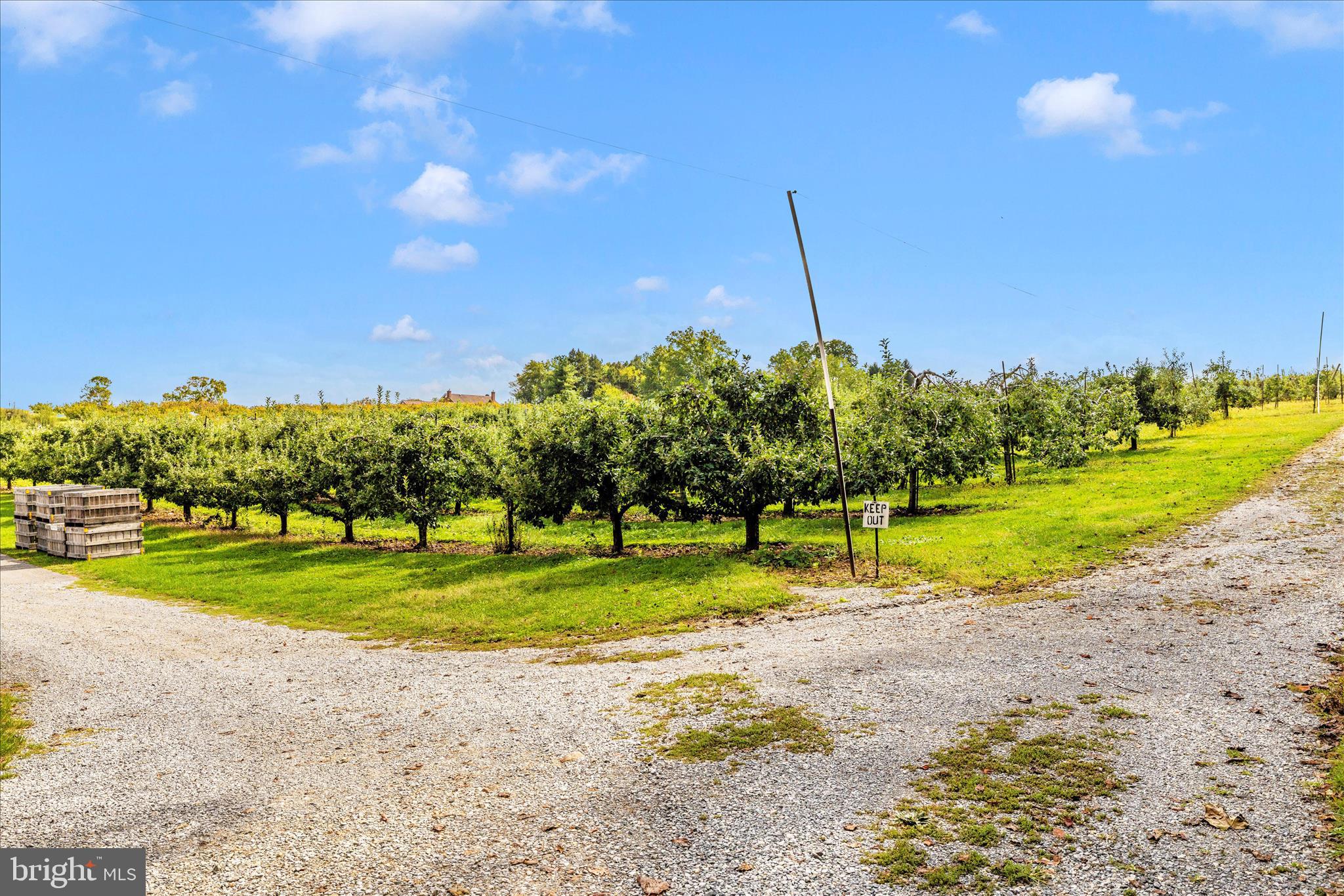 13839 Pryor Road Thurmont, MD 21788 - Photo 65 of 66 Pryor's Orchard