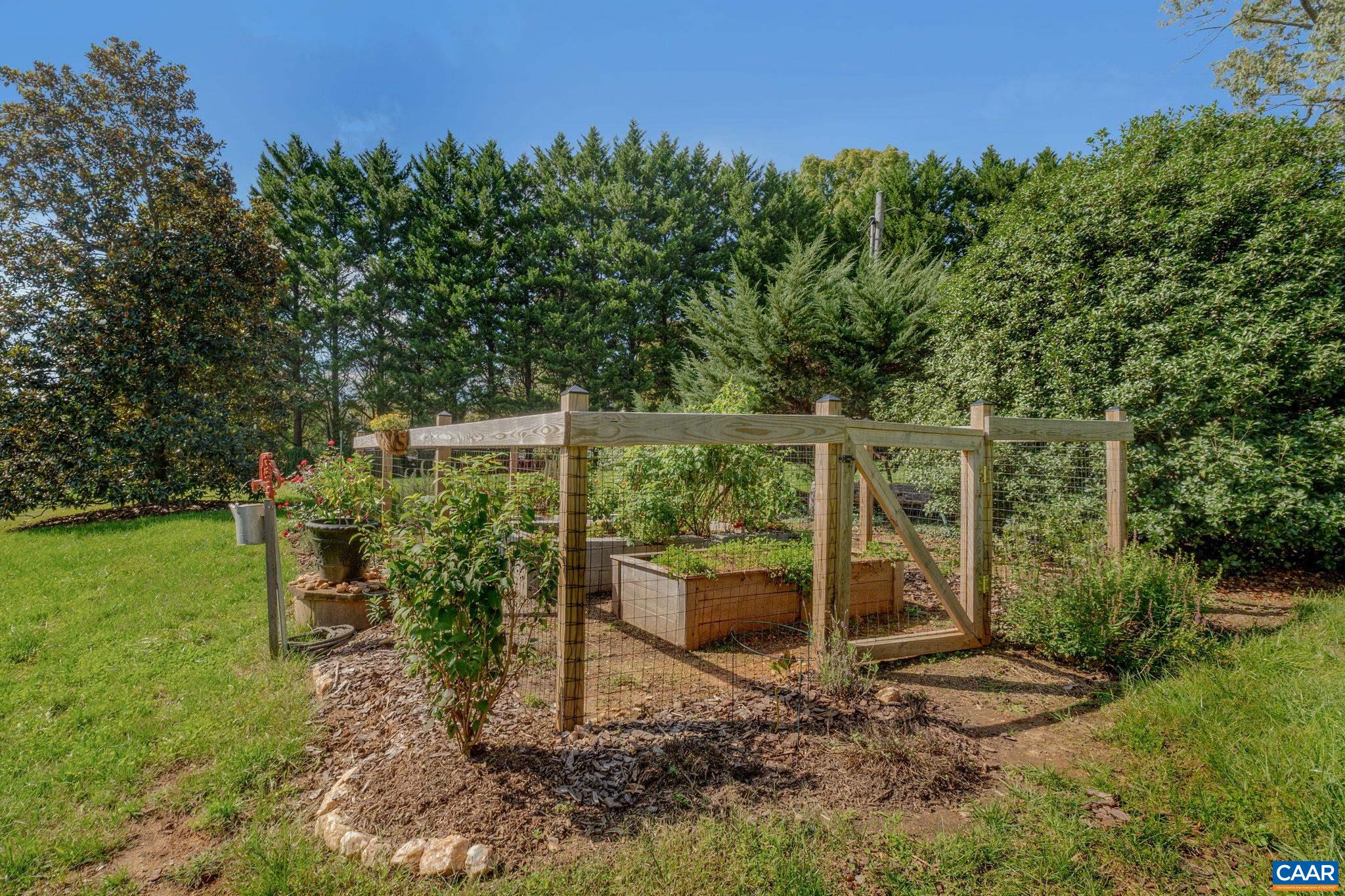 987 Turner Mountain Road Charlottesville, VA 22903 - Photo 54 of 63 a backyard of a house with lots of green space