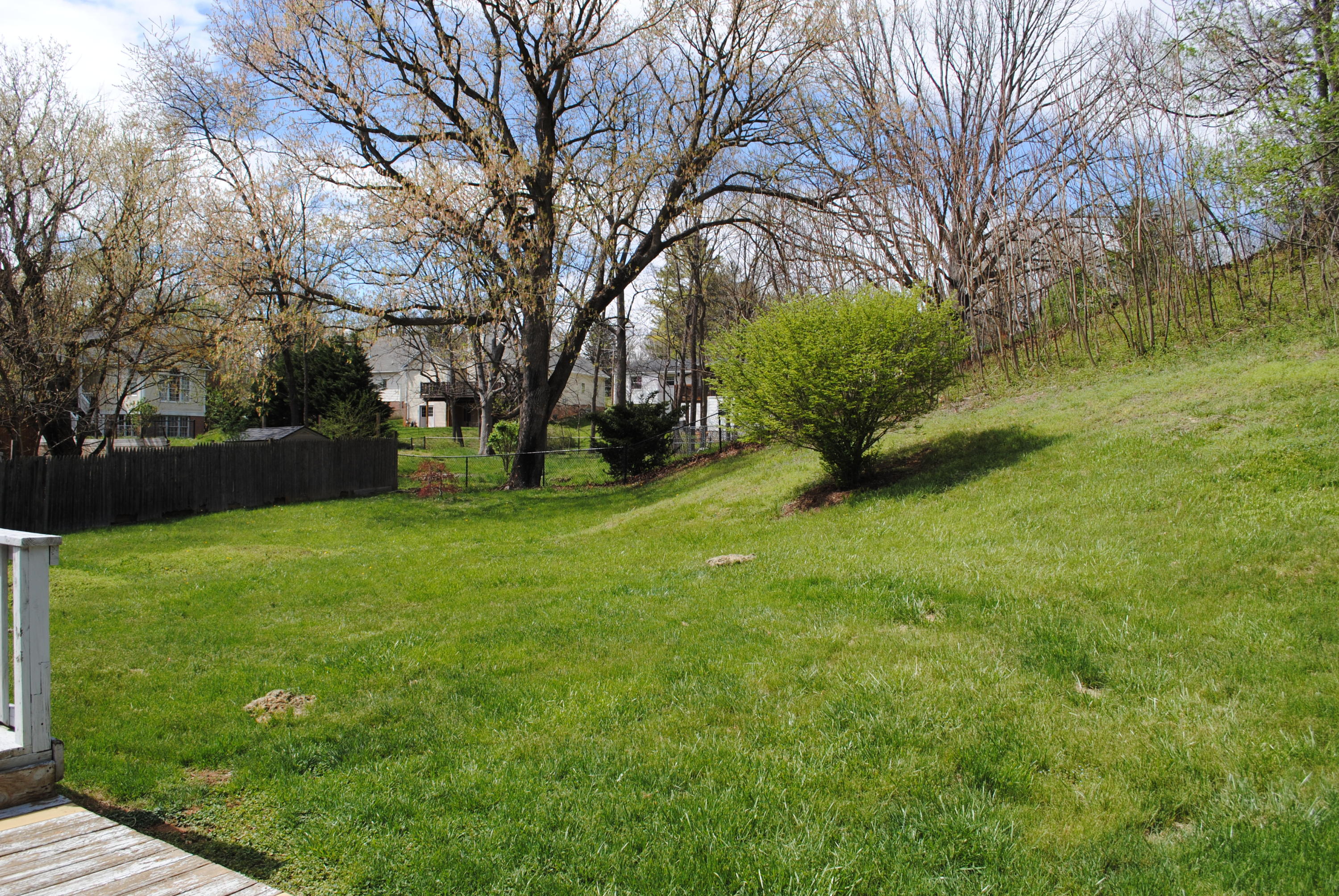 3569 Overbrook Drive Roanoke, VA 24018 - Photo 9 of 11 Backyard