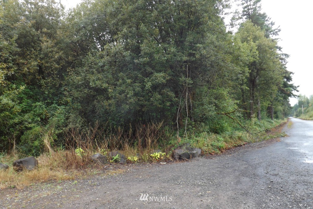 0 Gray Road, Unit LOT 8 Toledo, WA 98591 - Photo 1 of 6 Gallery Image 1
