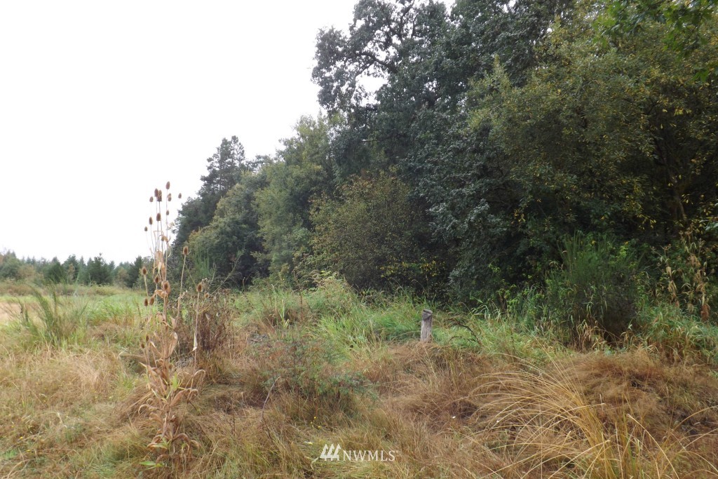 0 Gray Road, Unit LOT 8 Toledo, WA 98591 - Photo 2 of 6 Gallery Image 2