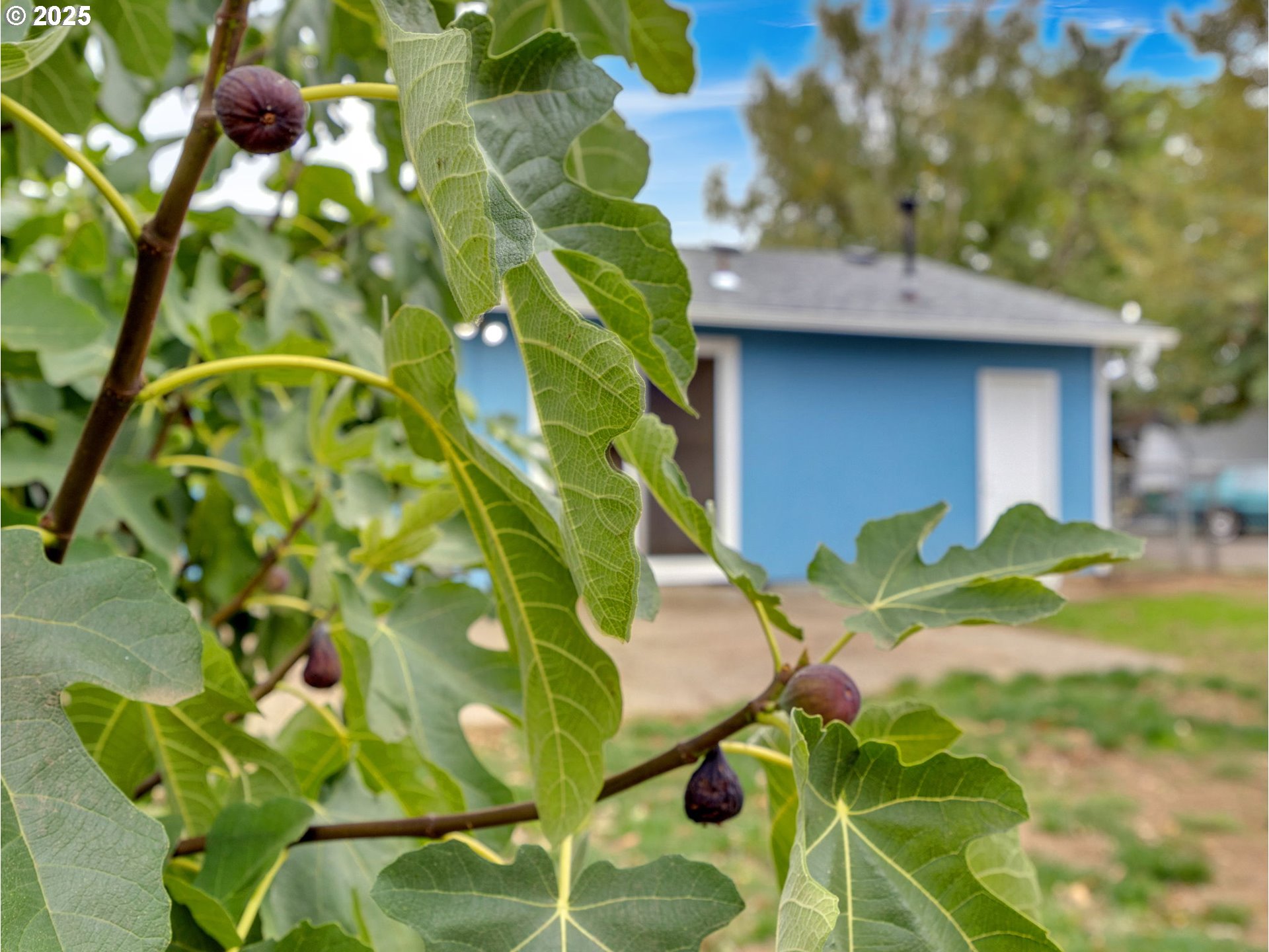 821 Southwest 14th Street Troutdale, OR 97060 - Photo 22 of 27 a backyard of a house with lots of green space