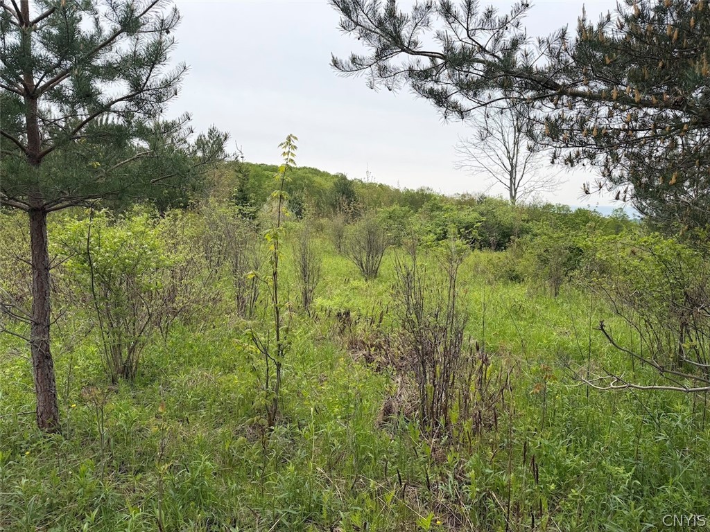 Reynolds Road Franklinville, NY 14737 - Photo 27 of 38