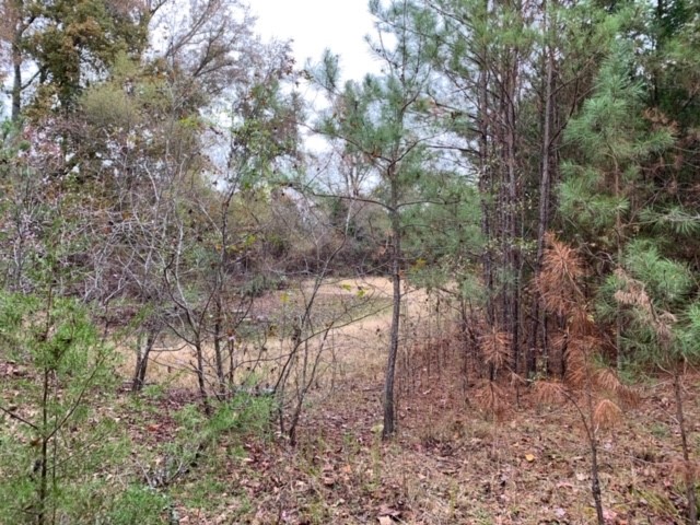 11660 Augusta Road Honea Path, SC 29654 - Photo 19 of 20