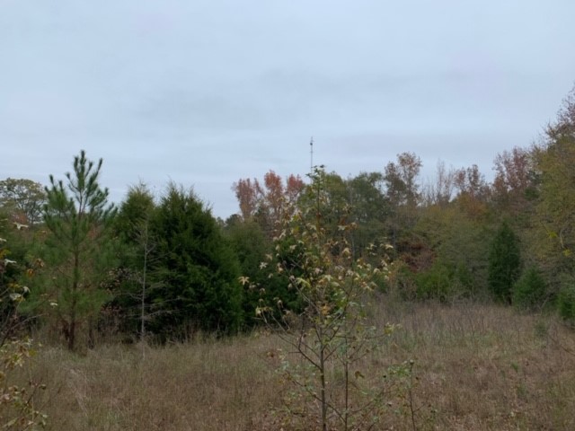 11660 Augusta Road Honea Path, SC 29654 - Photo 7 of 20