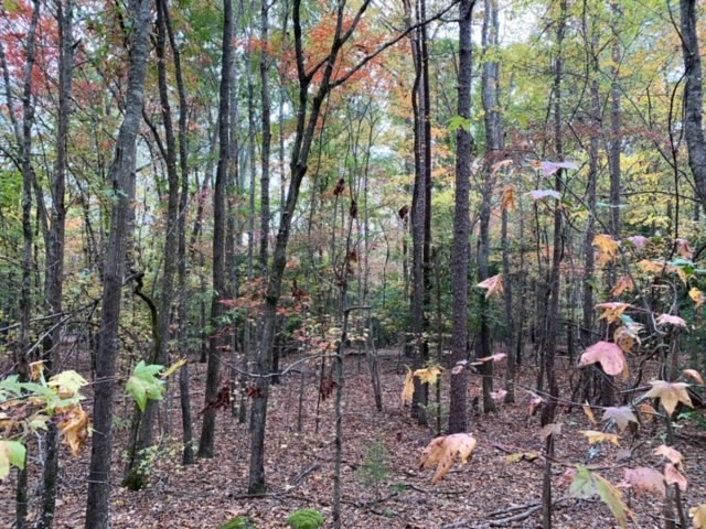 11660 Augusta Road Honea Path, SC 29654 - Photo 8 of 20