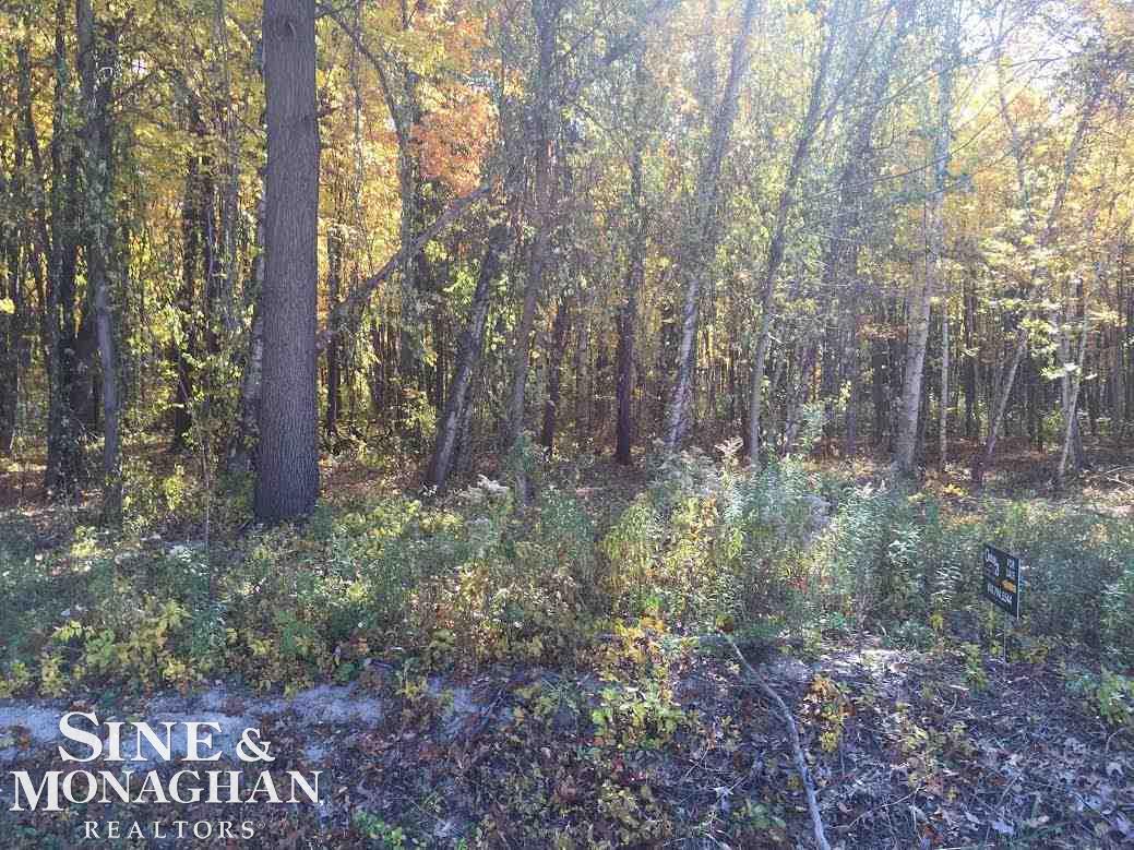 0 Fruit Road, Unit PARCEL D Algonac, MI 48001 - Photo 3 of 3