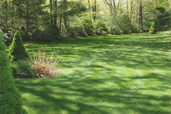 106 Rocky Brook Road North Andover, MA 01845 - Photo 27 of 30 Gallery Image 27