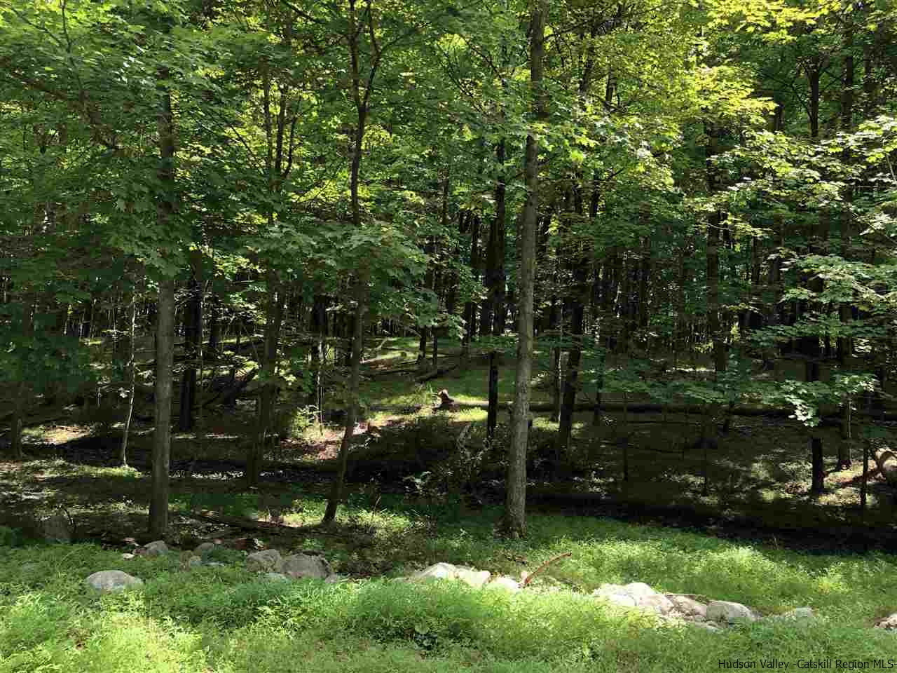 Aumick Road Wallkill, NY 12589 - Photo 1 of 29 Photo 1