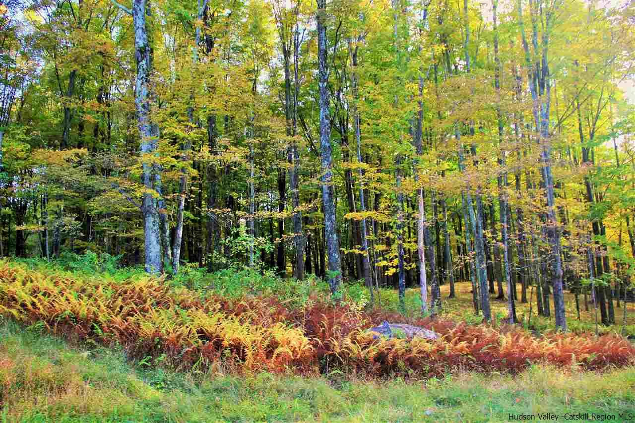 Aumick Road Wallkill, NY 12589 - Photo 12 of 29 Photo 12