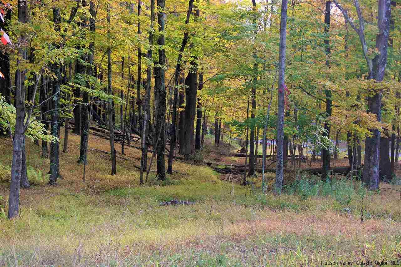 Aumick Road Wallkill, NY 12589 - Photo 13 of 29 Photo 13