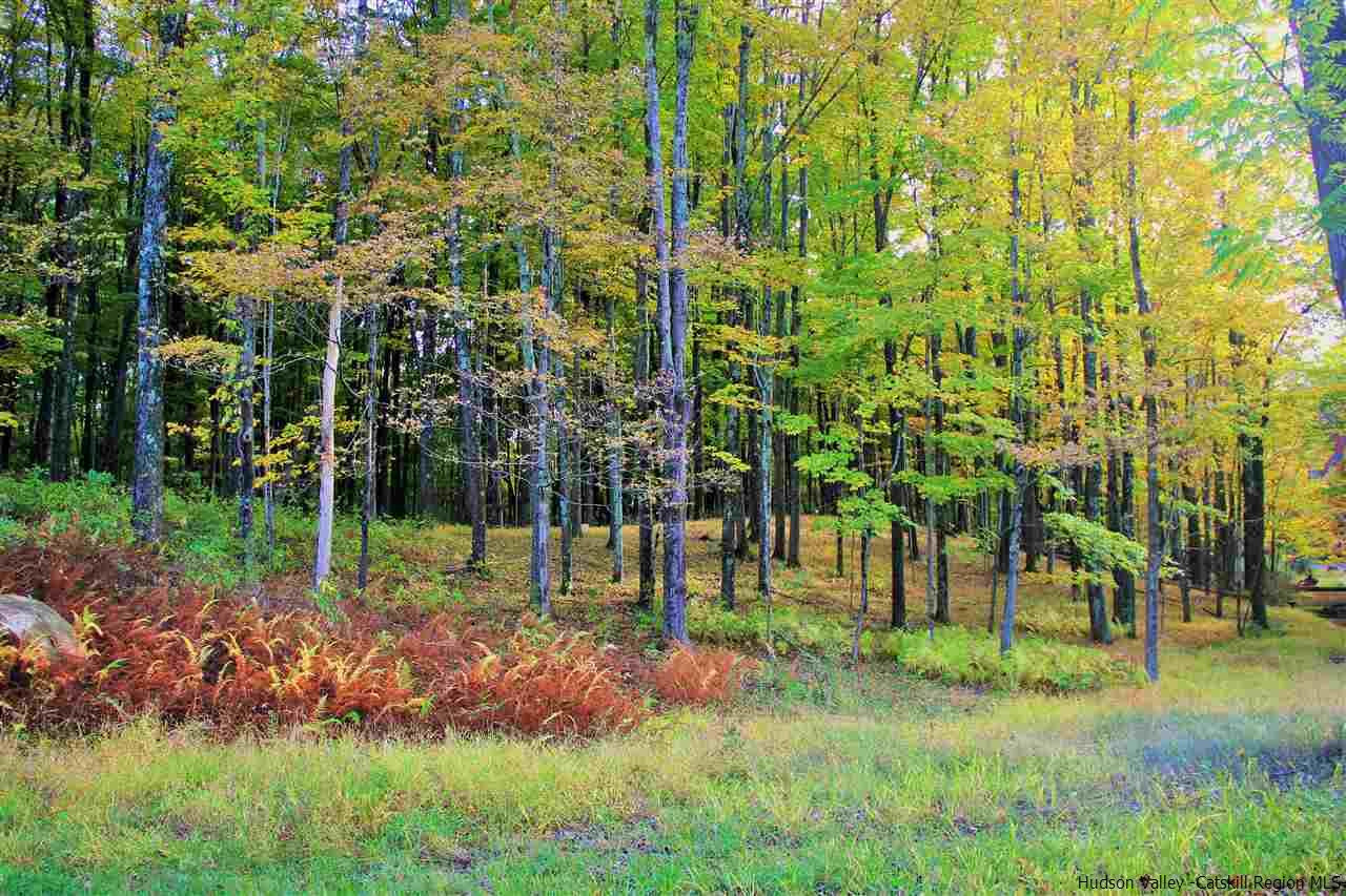 Aumick Road Wallkill, NY 12589 - Photo 14 of 29 Photo 14