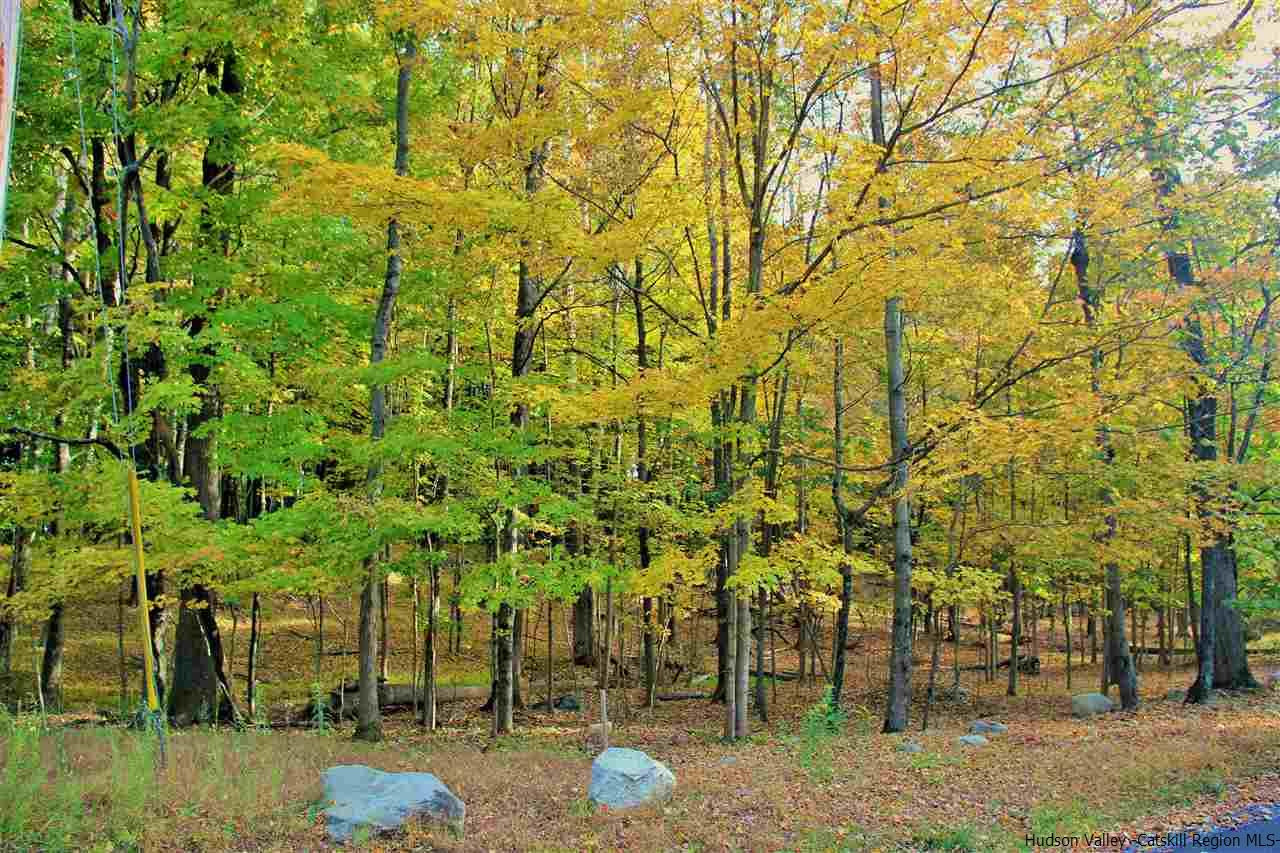 Aumick Road Wallkill, NY 12589 - Photo 15 of 29 Photo 15
