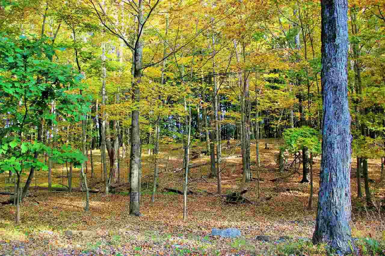 Aumick Road Wallkill, NY 12589 - Photo 16 of 29 Photo 16