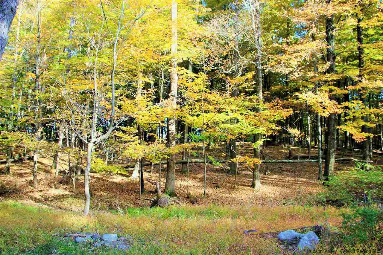 Aumick Road Wallkill, NY 12589 - Photo 17 of 29 Photo 17