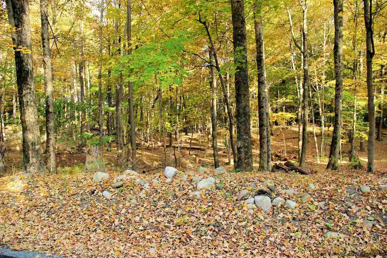 Aumick Road Wallkill, NY 12589 - Photo 18 of 29 Photo 18