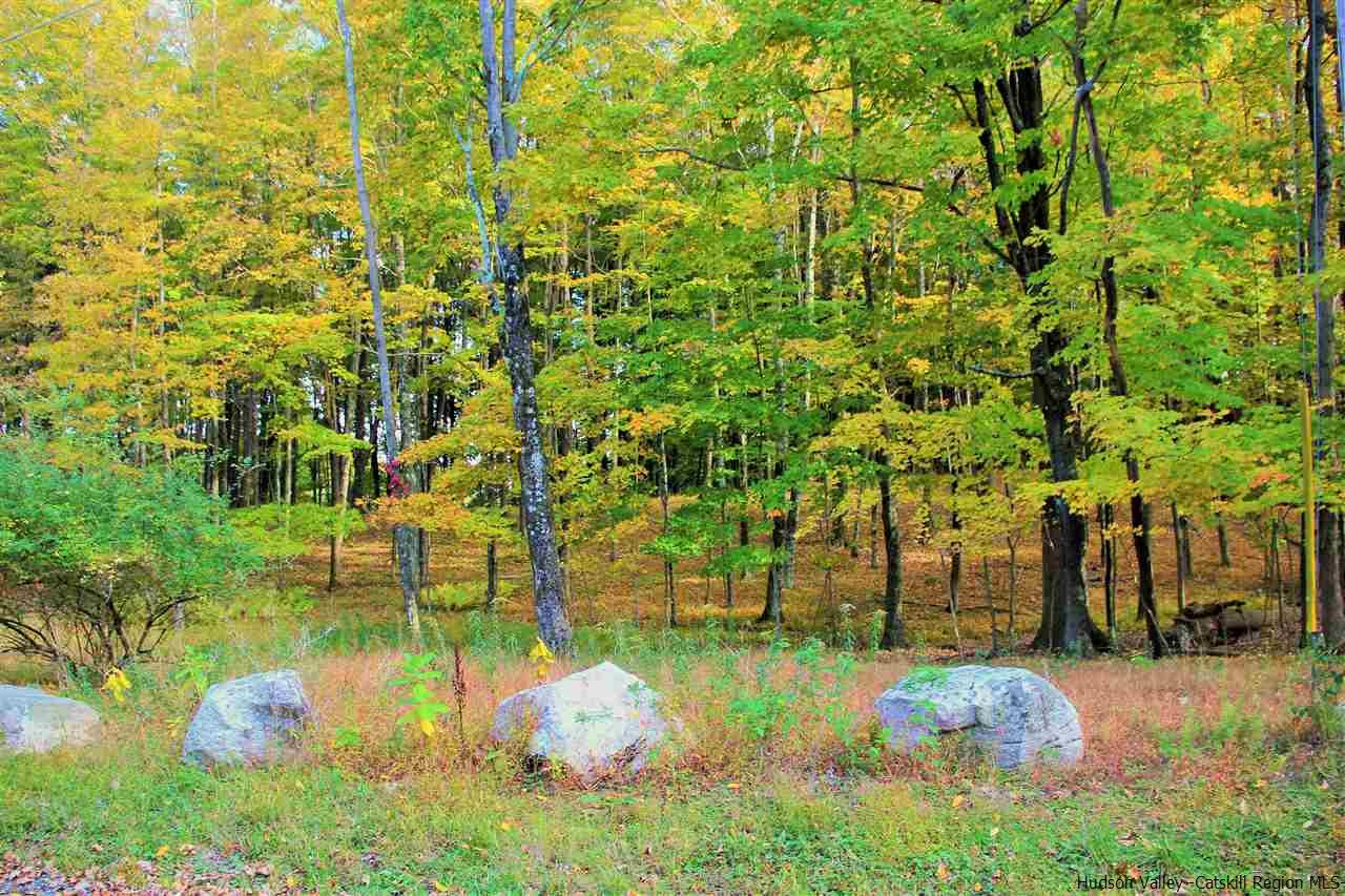 Aumick Road Wallkill, NY 12589 - Photo 2 of 29 Photo 2