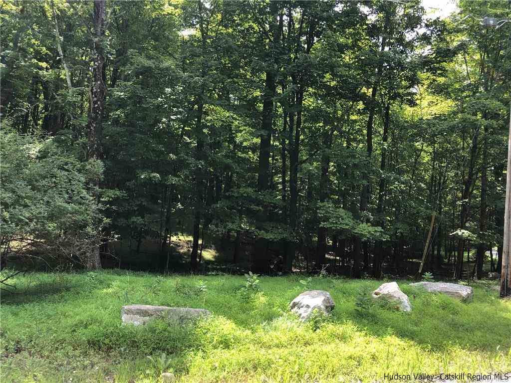 Aumick Road Wallkill, NY 12589 - Photo 25 of 29 Photo 25