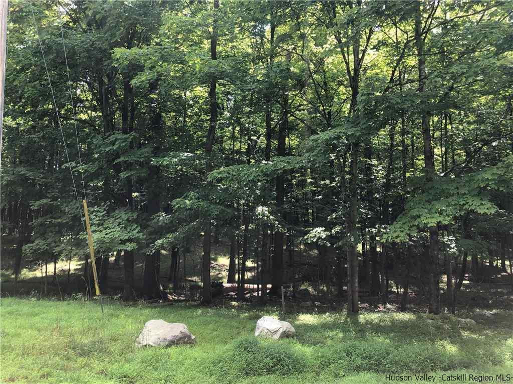 Aumick Road Wallkill, NY 12589 - Photo 26 of 29 Photo 26