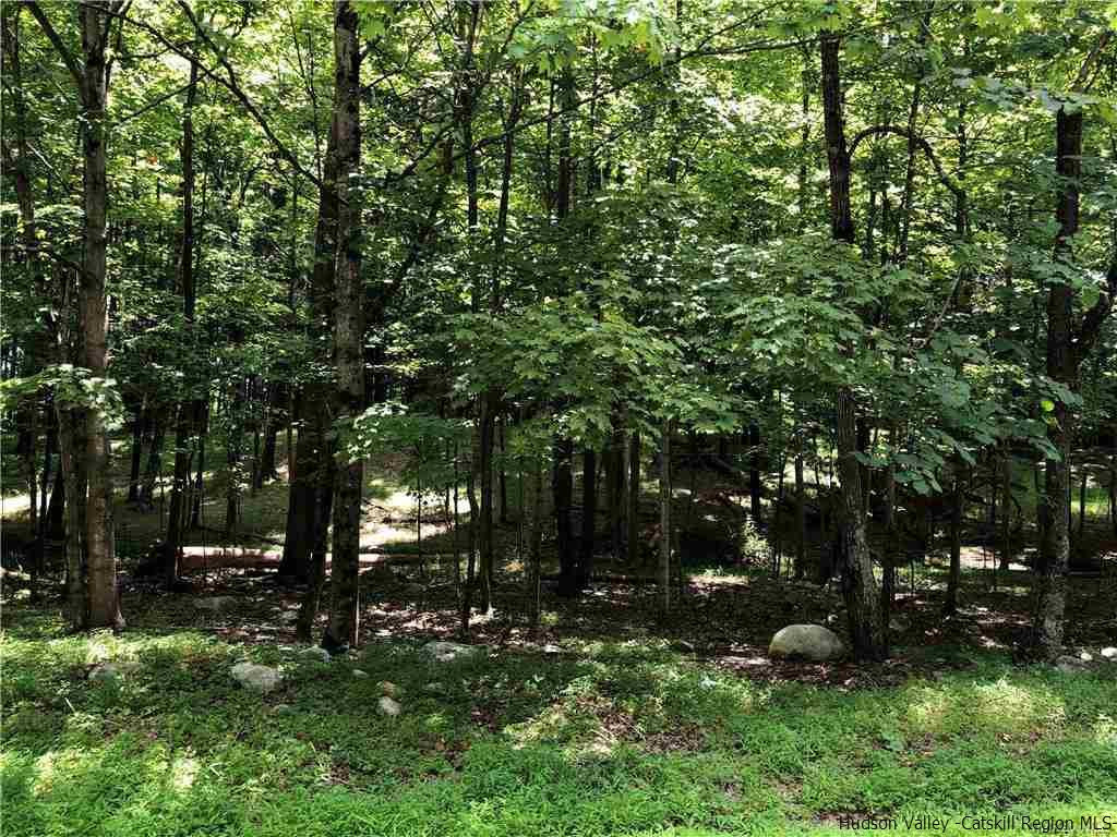Aumick Road Wallkill, NY 12589 - Photo 28 of 29 Photo 28
