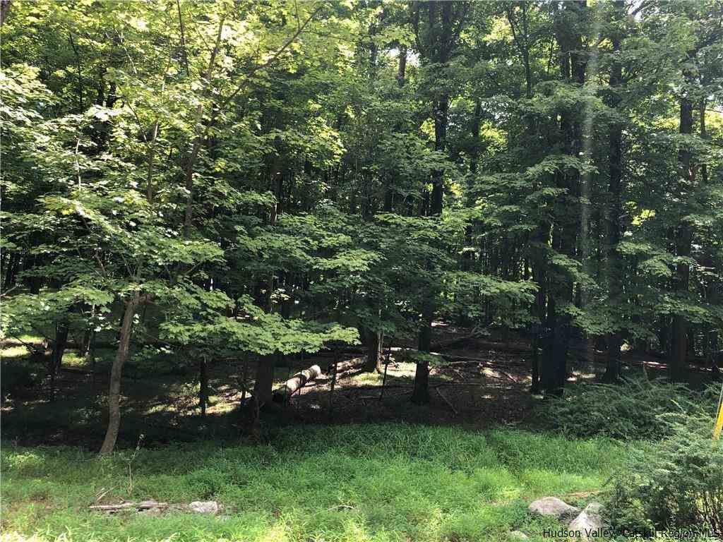 Aumick Road Wallkill, NY 12589 - Photo 29 of 29 Photo 29