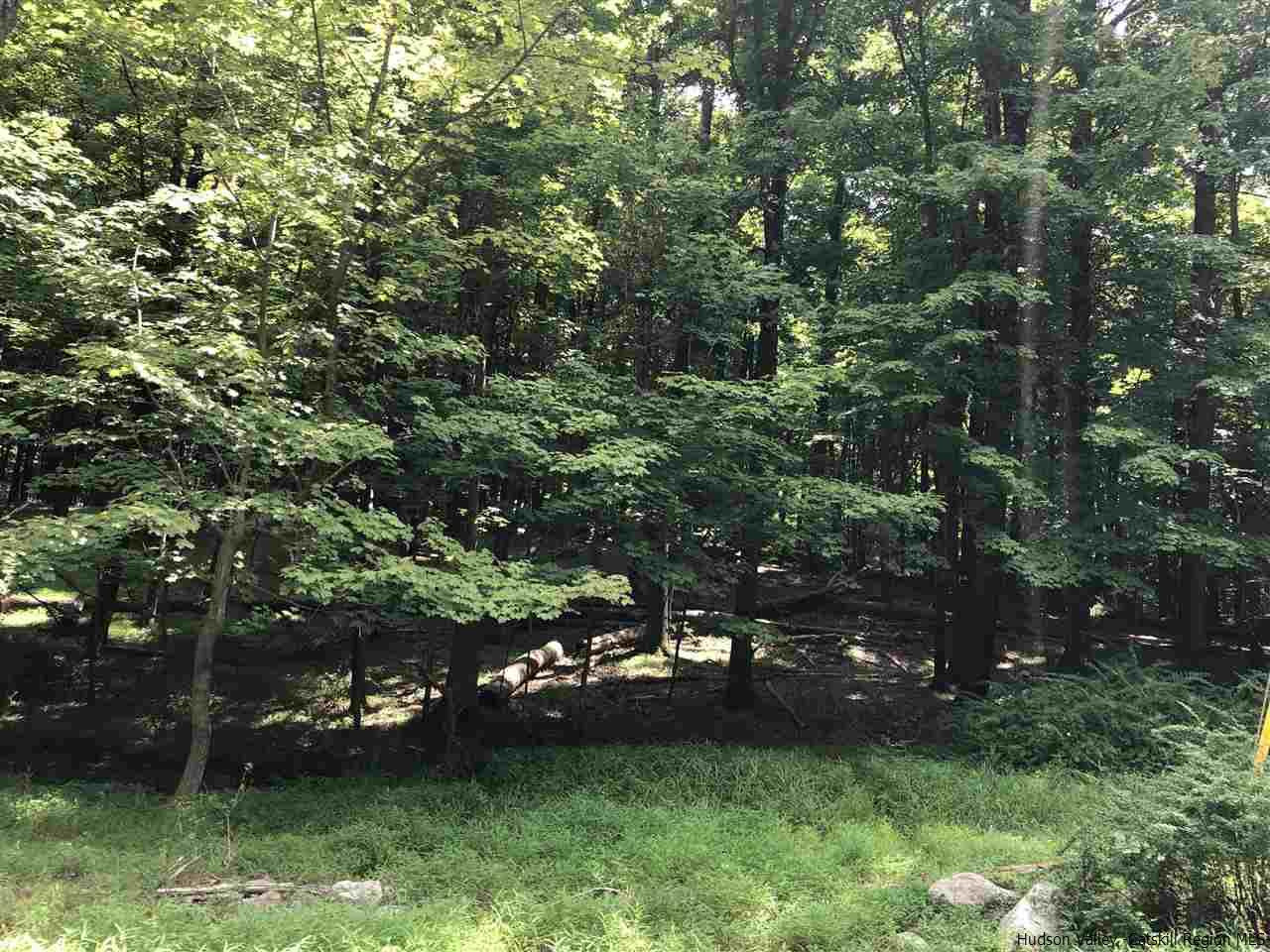 Aumick Road Wallkill, NY 12589 - Photo 3 of 29 Photo 3