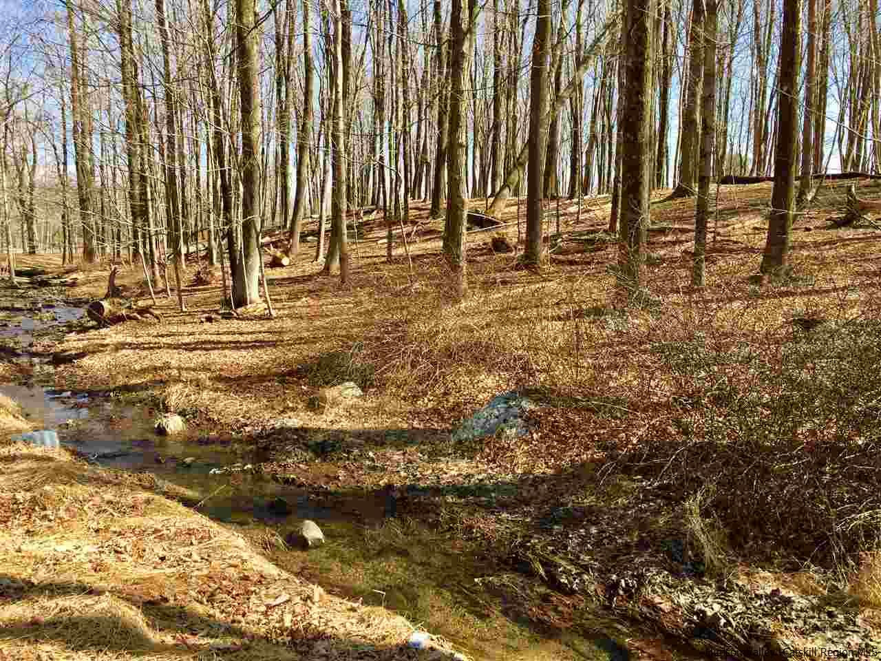 Aumick Road Wallkill, NY 12589 - Photo 4 of 29 Photo 4