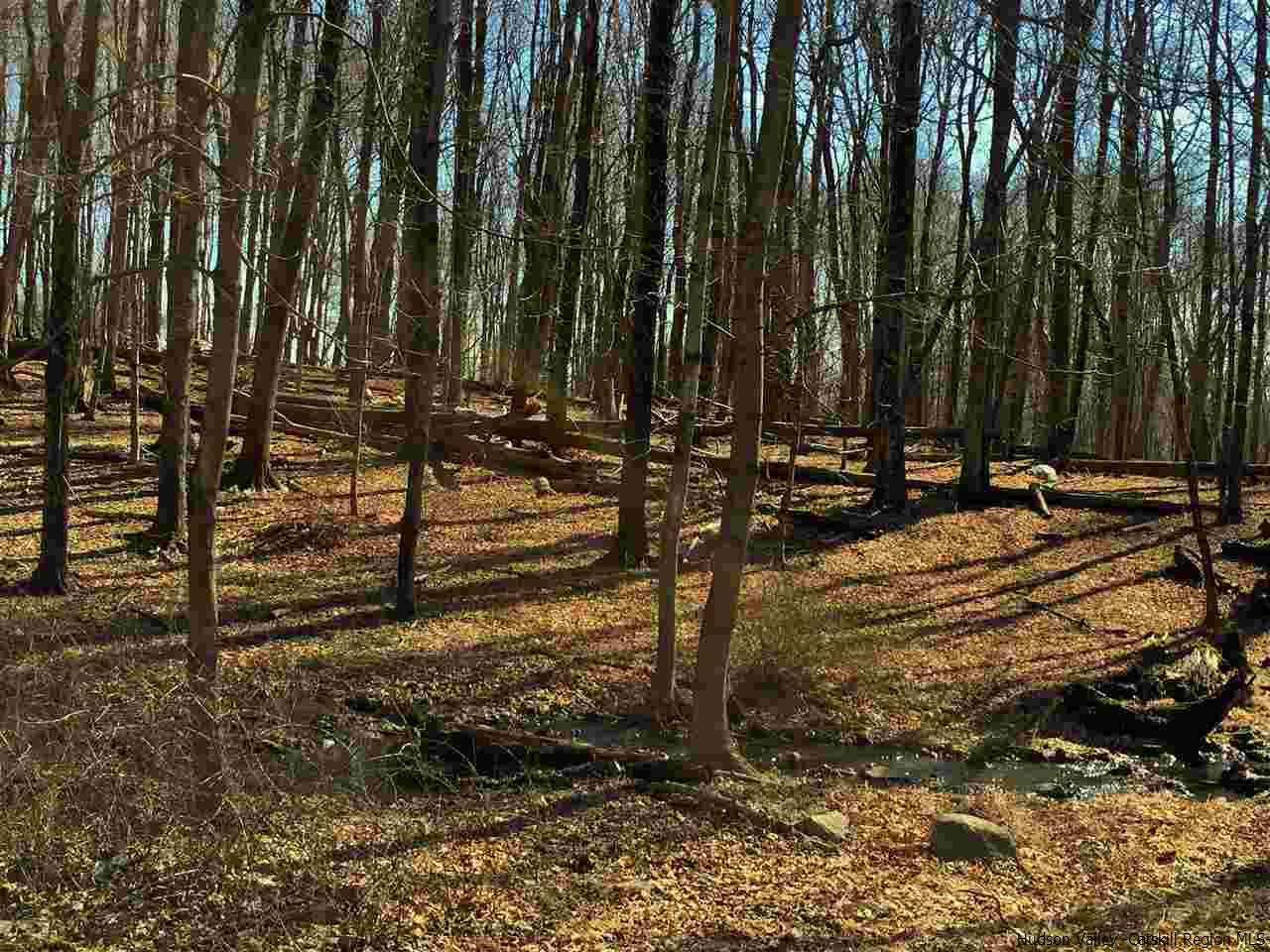Aumick Road Wallkill, NY 12589 - Photo 5 of 29 Photo 5