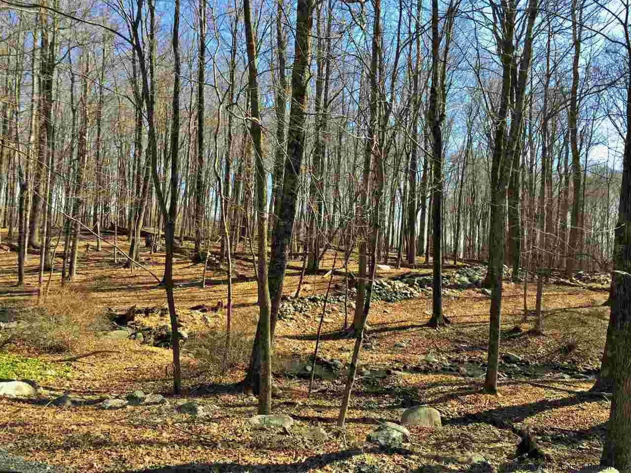 Aumick Road Wallkill, NY 12589 - Photo 6 of 29 Photo 6