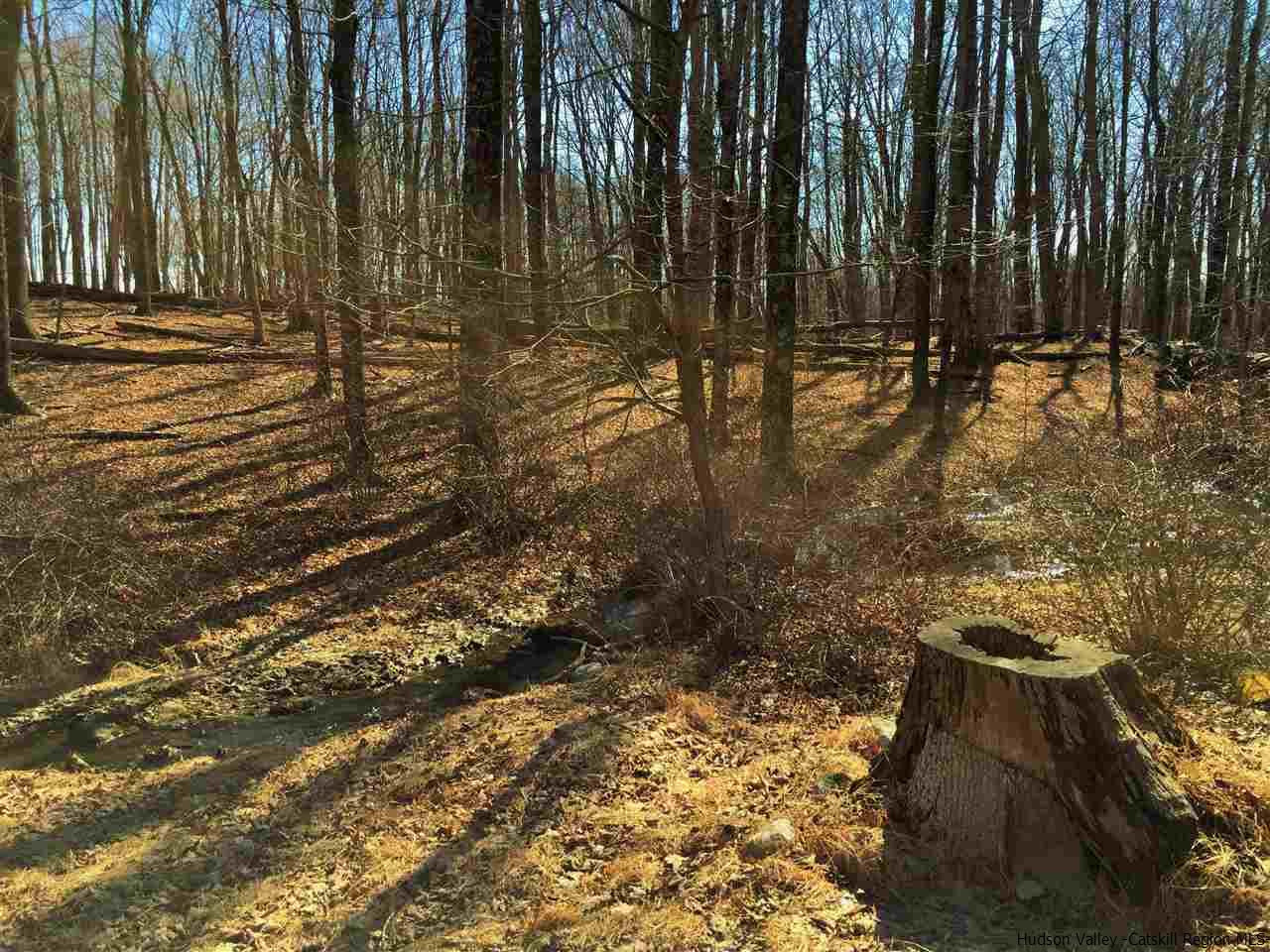 Aumick Road Wallkill, NY 12589 - Photo 7 of 29 Photo 7