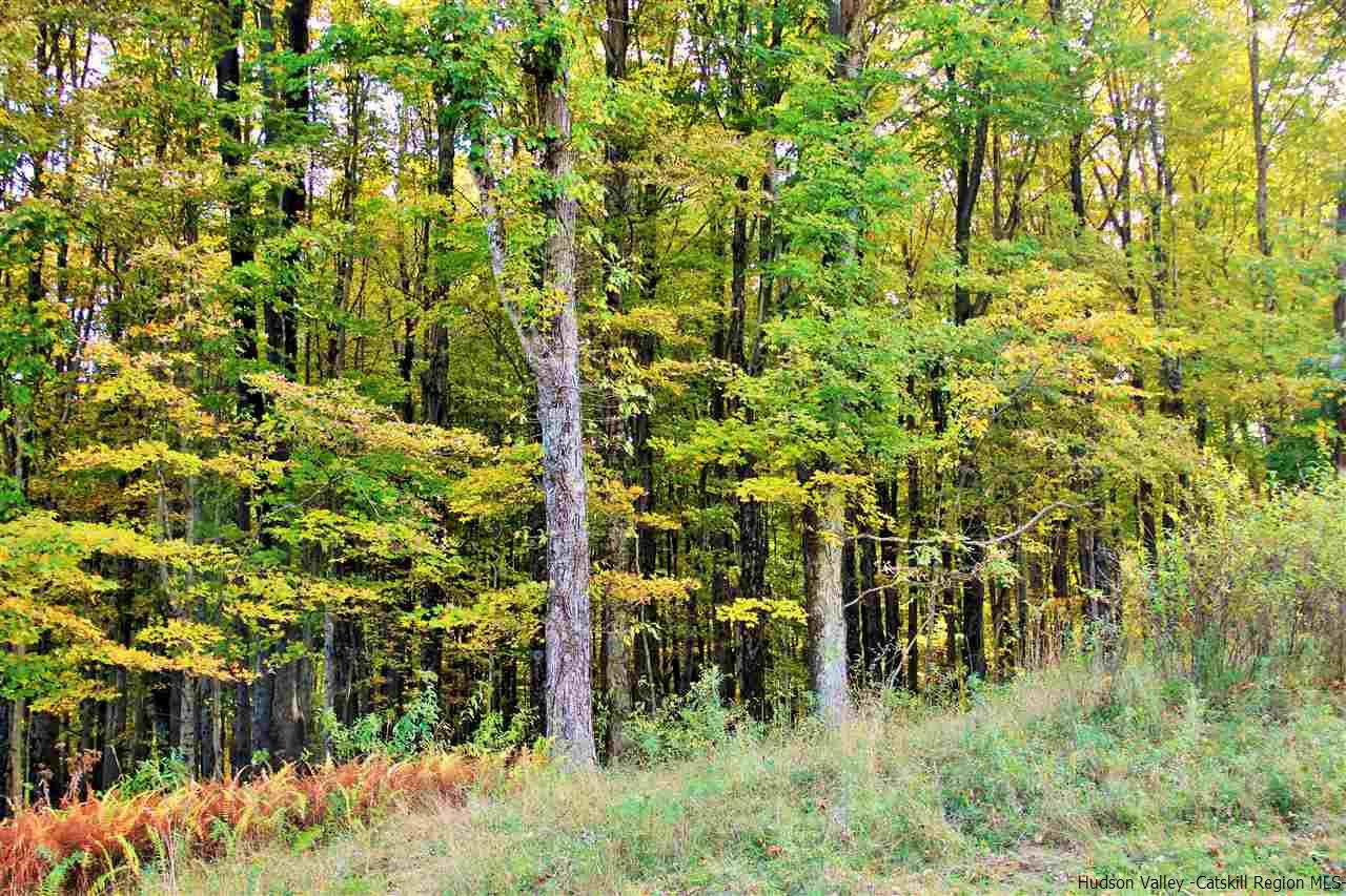 Aumick Road Wallkill, NY 12589 - Photo 8 of 29 Photo 8