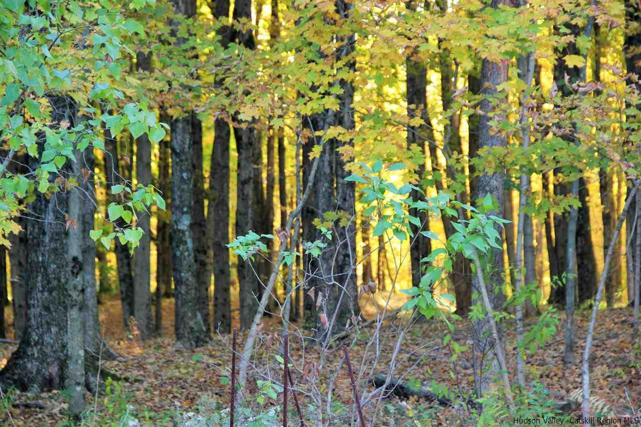 Aumick Road Wallkill, NY 12589 - Photo 9 of 29 Photo 9