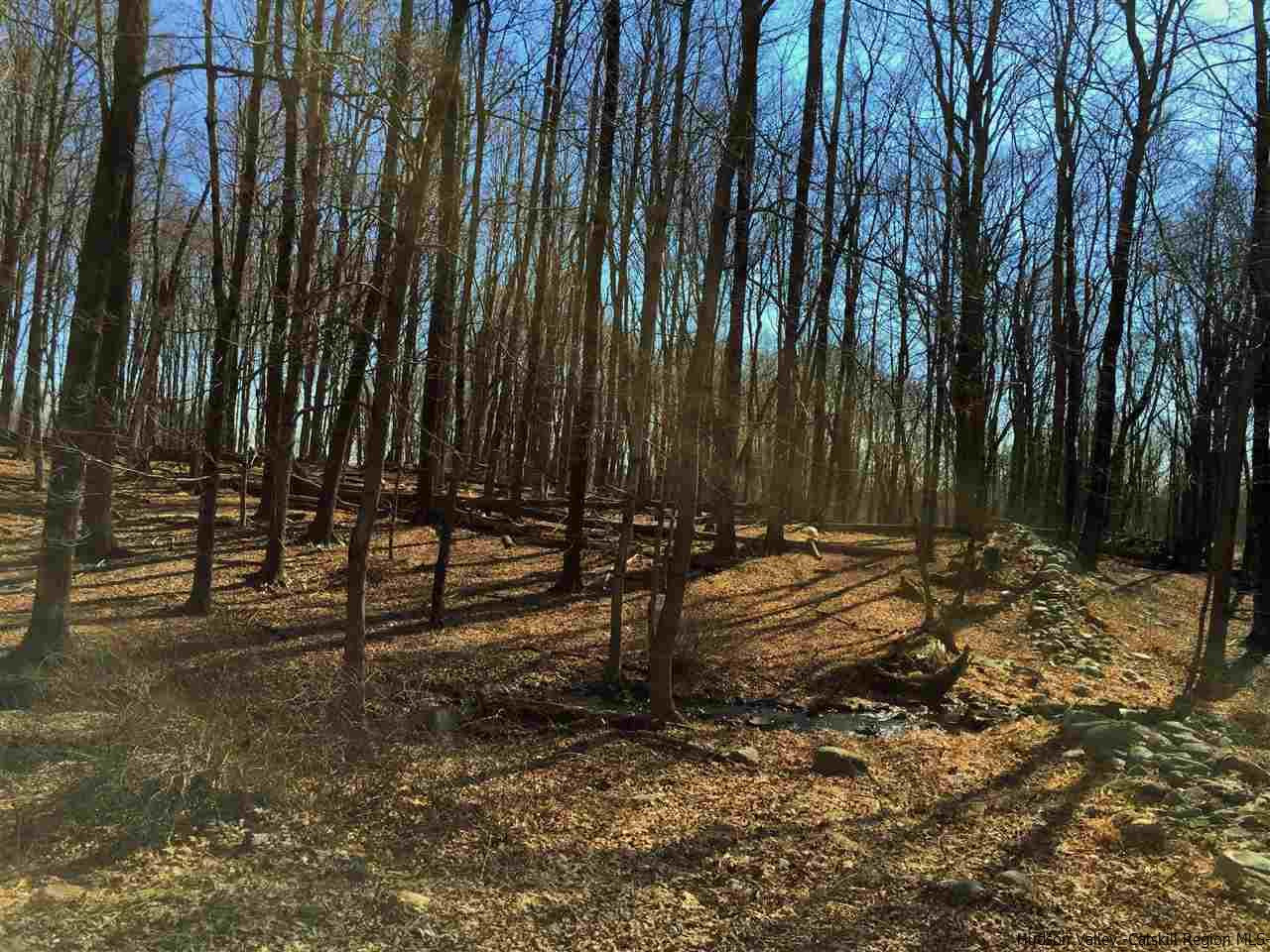 Aumick Road Wallkill, NY 12589 - Photo 10 of 29 Photo 10