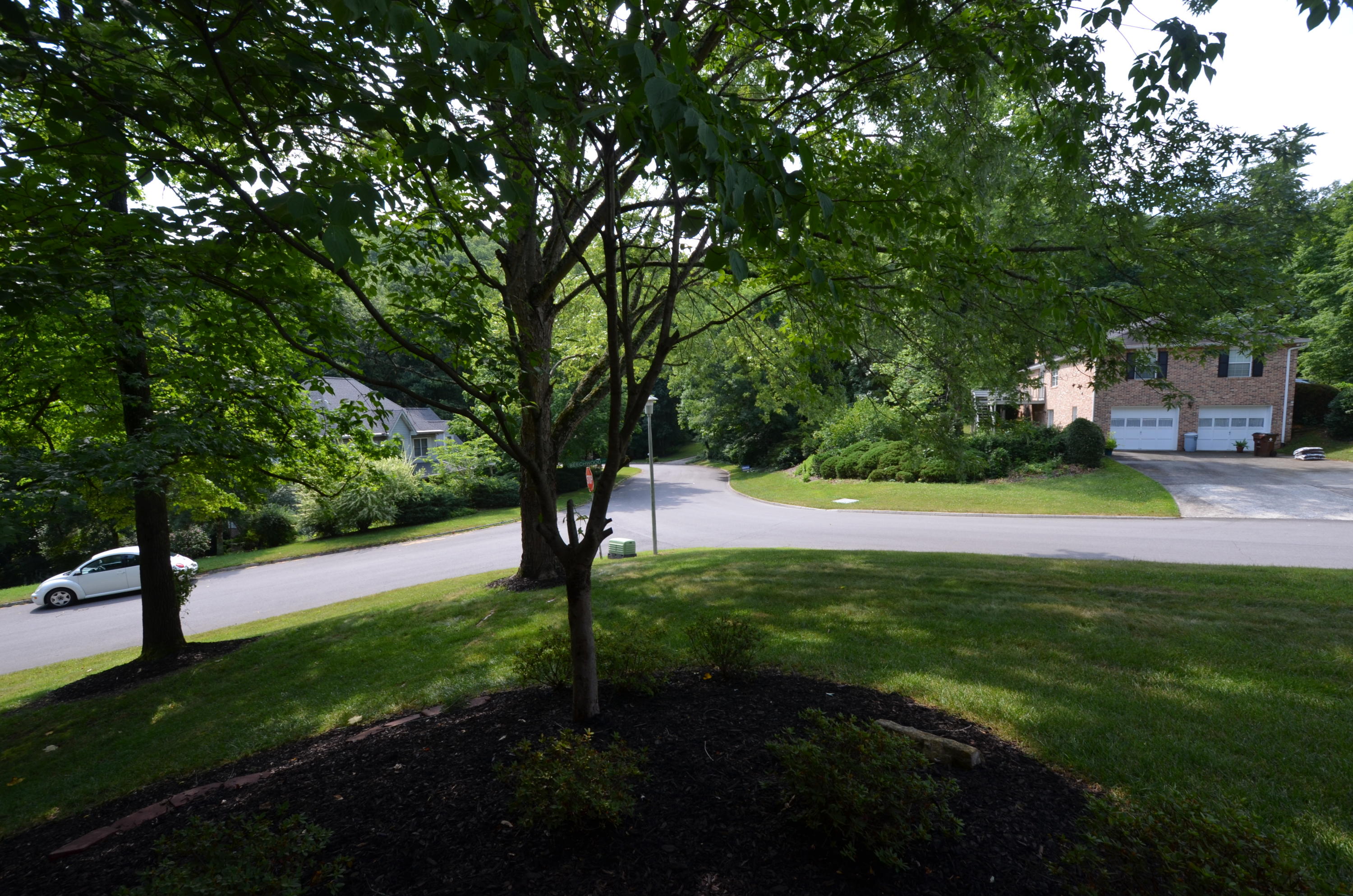 127 Baypath Drive Oak Ridge, TN 37830 - Photo 2 of 24 DSC_0965